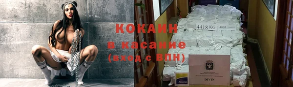 бошки Алексин